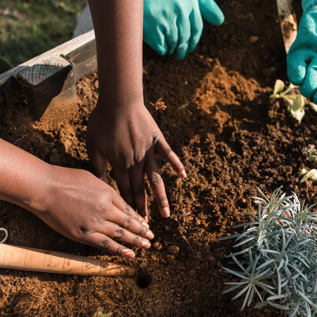become-a-soil-scientist-easy-steps-to-test-your-garden-soil